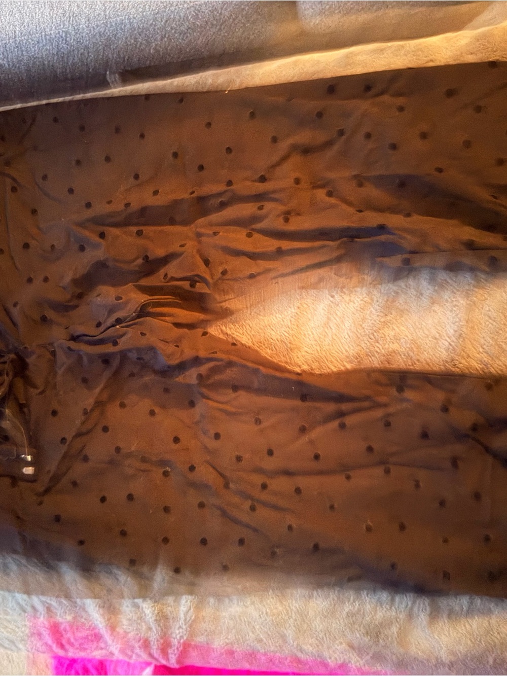 Lane Bryant Brown Sheer Polka Dot Trousers